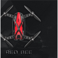 RED BEE 251穿越机