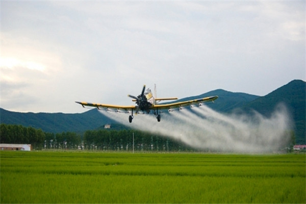 金丝路航空服务 农业喷洒作业