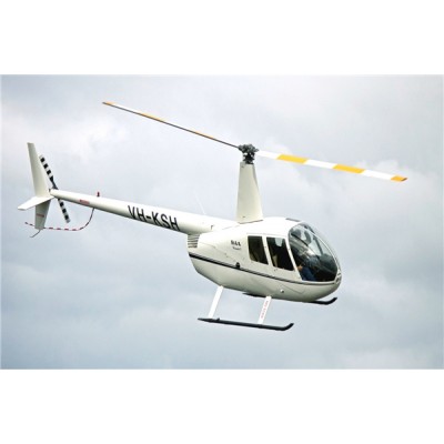 美国罗宾逊R44直升机出租