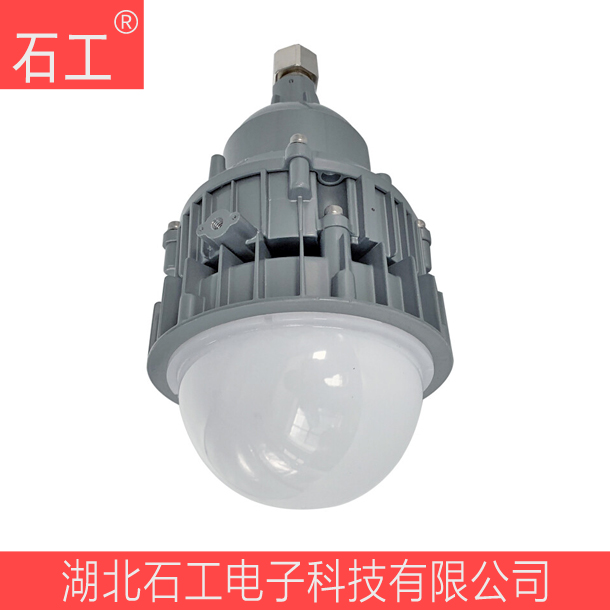 防水防尘防腐灯\NFC9190弯杆式 30W 220V\海洋王