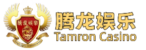 腾龙公司